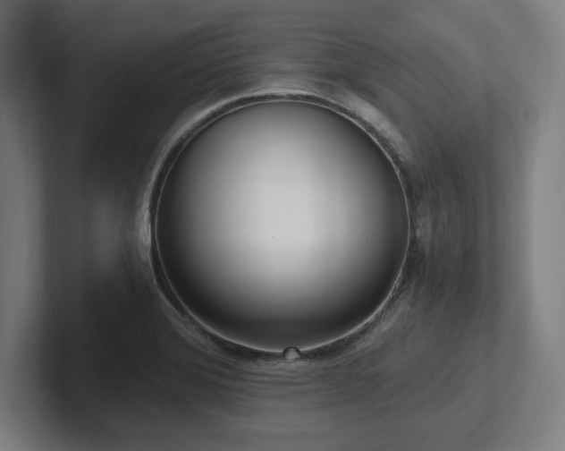 X0000102411372200808011558
