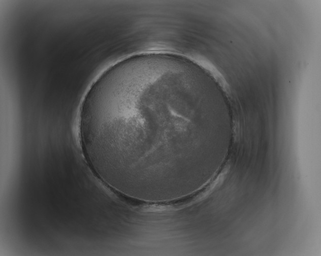 X0000102411374200808011558