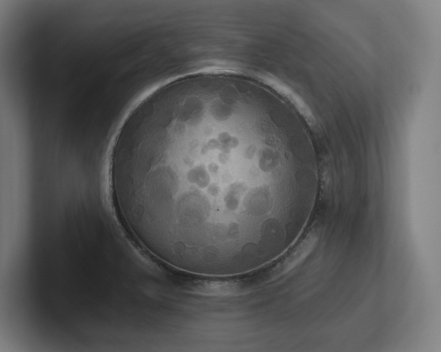 X0000102411375200808011558