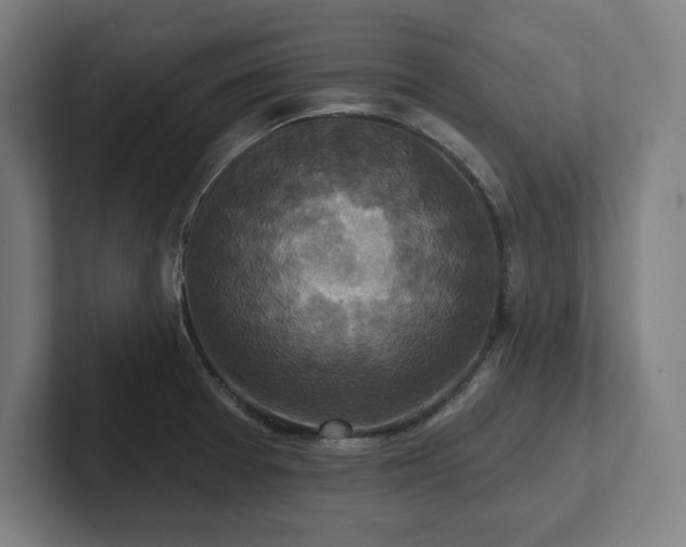 X0000102411377200808011558