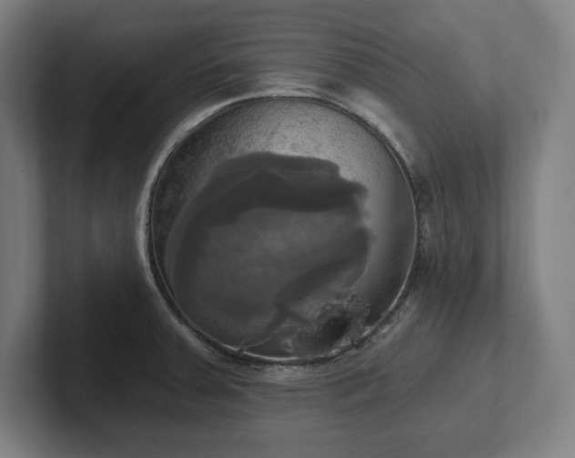 X0000102411379200808011558