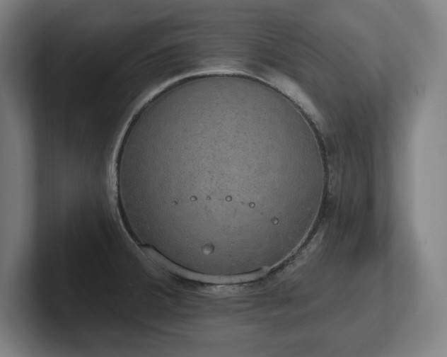 X0000102411380200808011558