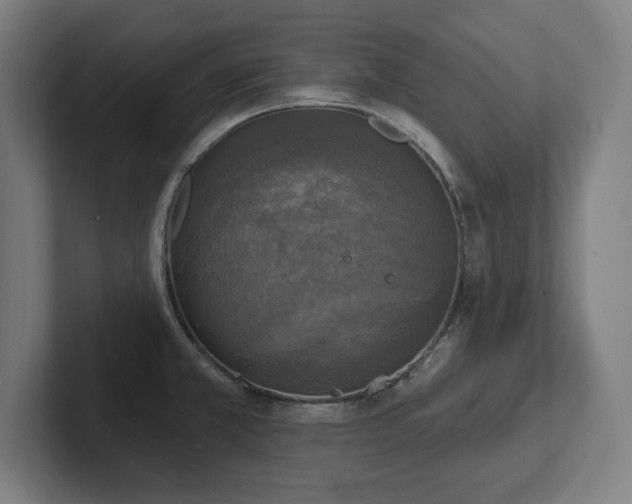 X0000102411381200808011558