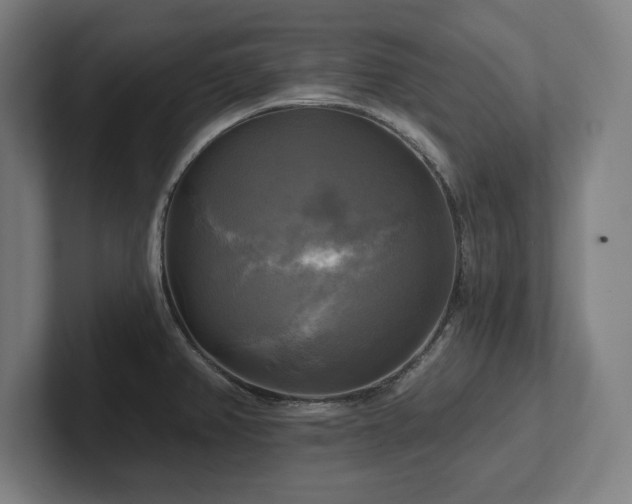X0000102411382200808011558