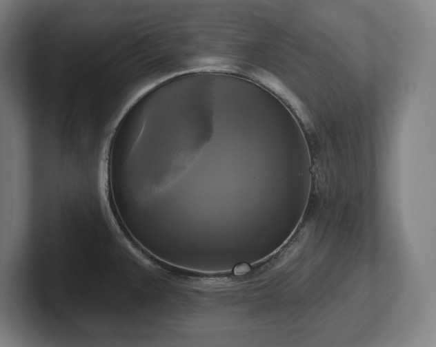 X0000102411383200808011558