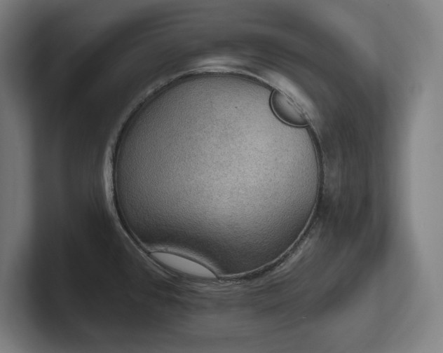 X0000102411384200808011558