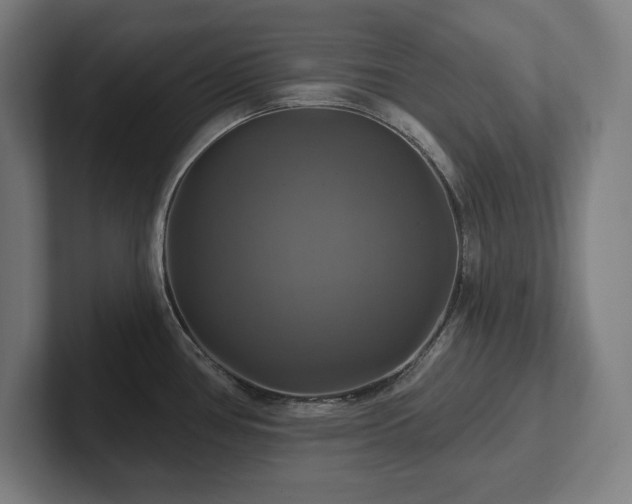 X0000102411386200808011558