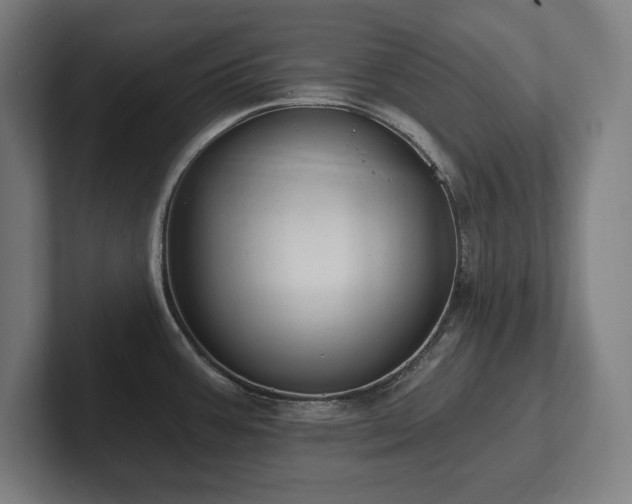 X0000102411387200808011558