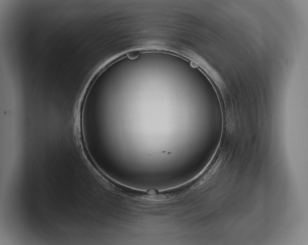 X0000102411388200808011558