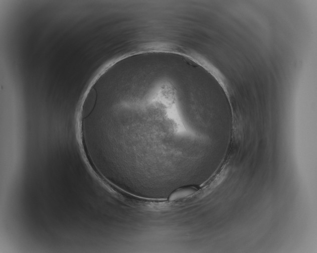 X0000102411389200808011558