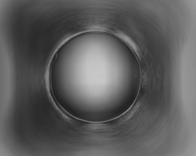 X0000102411391200808011558