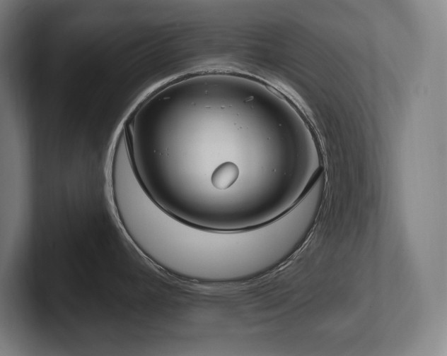 X0000102411392200808011558