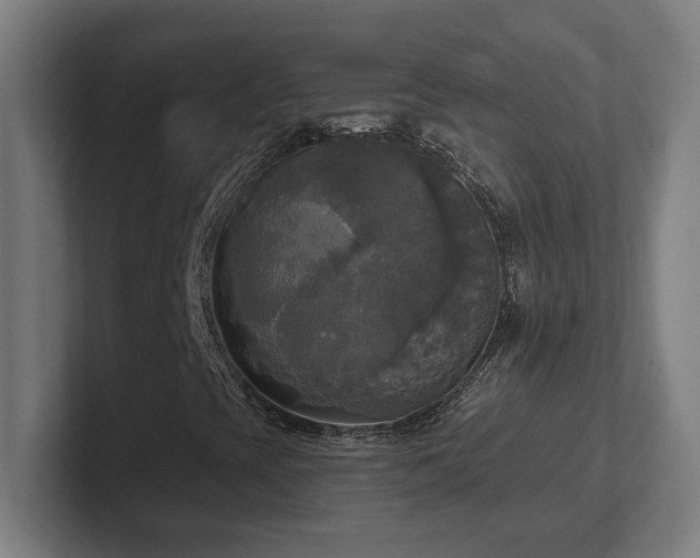X0000102411393200808011557