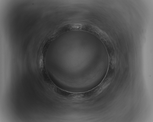 X0000102411394200808011557