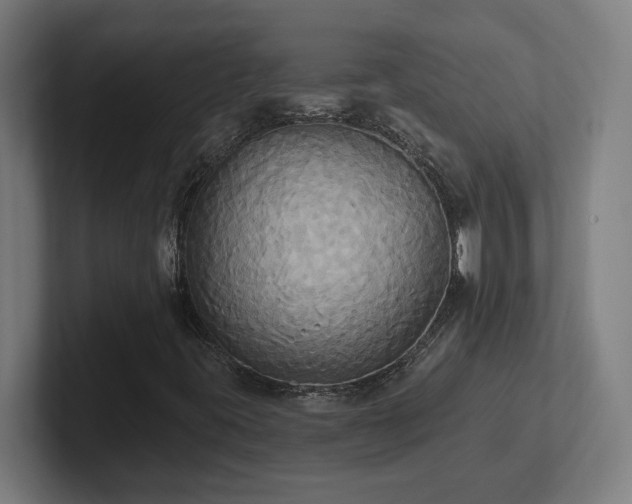X0000102411395200808011557