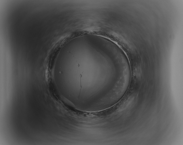 X0000102411398200808011557