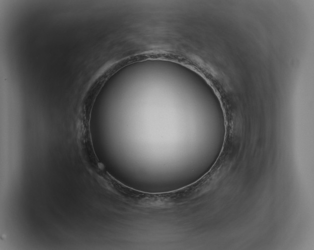X0000102411400200808011557