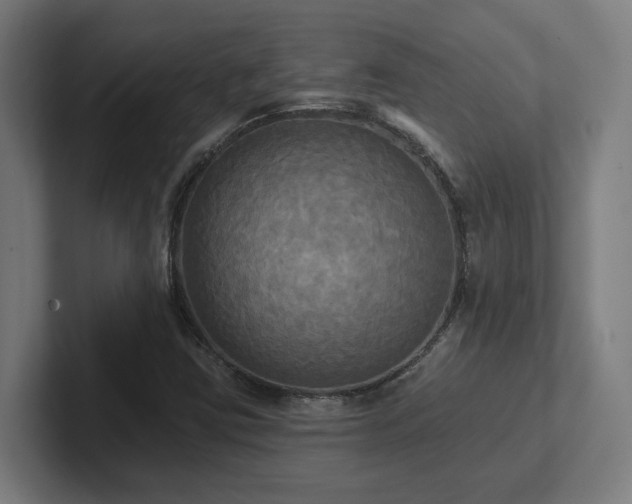X0000102411403200808011557