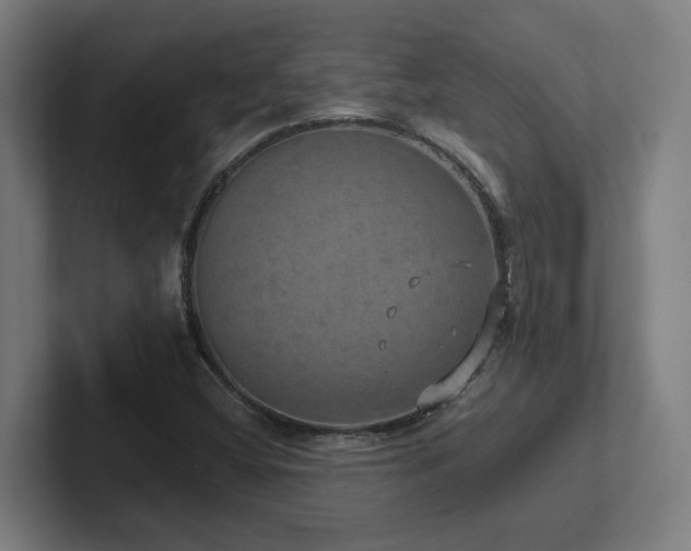 X0000102411404200808011557