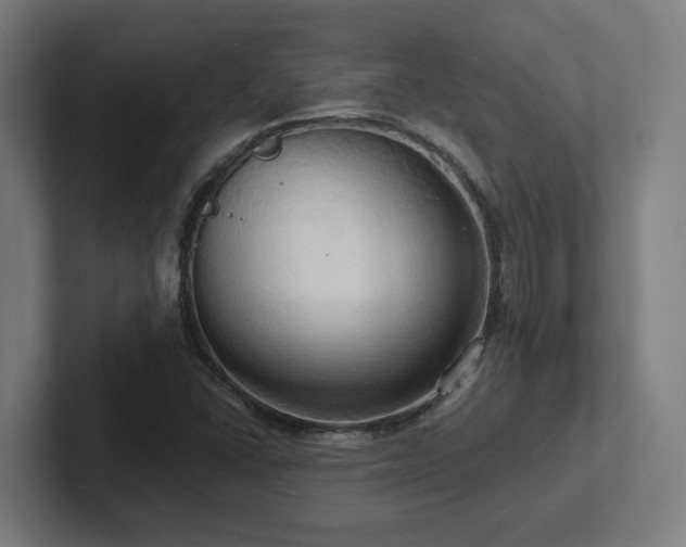 X0000102411406200808011557