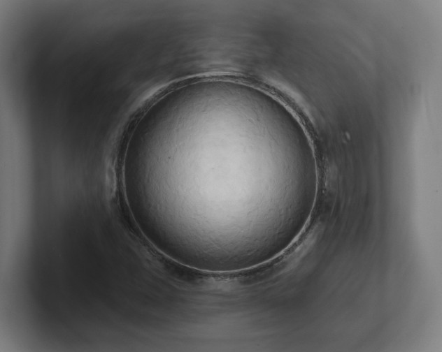 X0000102411407200808011557