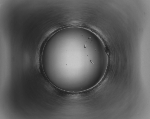 X0000102411410200808011557