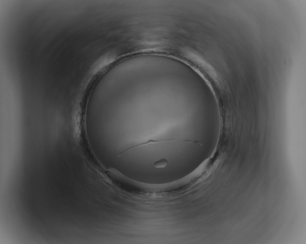 X0000102411411200808011557