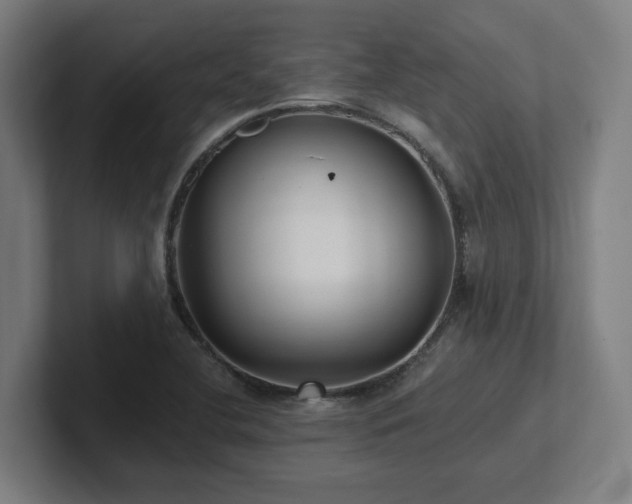 X0000102411412200808011557