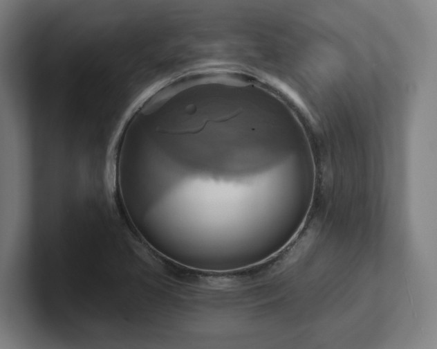 X0000102411413200808011557