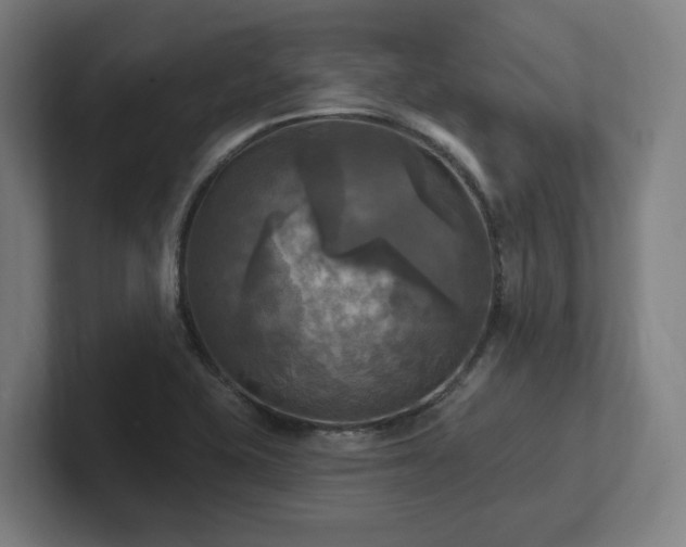 X0000102411415200808011558