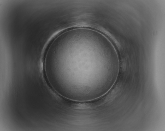 X0000102411416200808011558