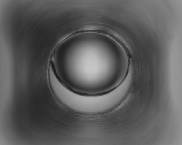 X0000102411417200808011558