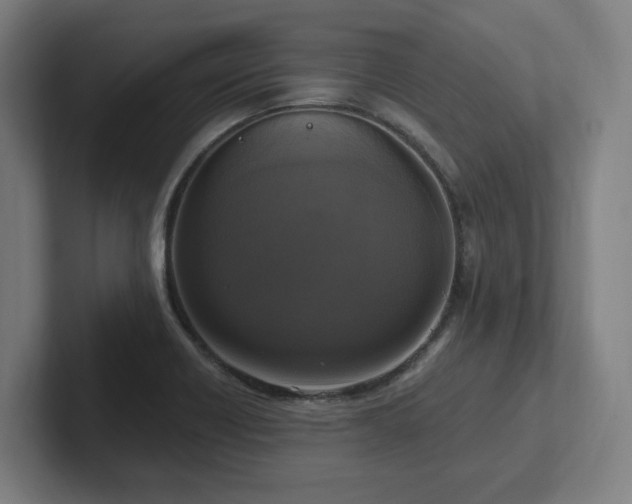 X0000102411418200808011558