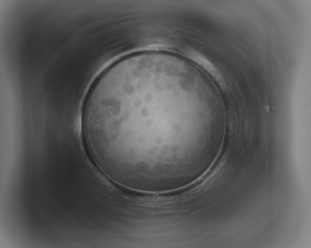 X0000102411420200808011558