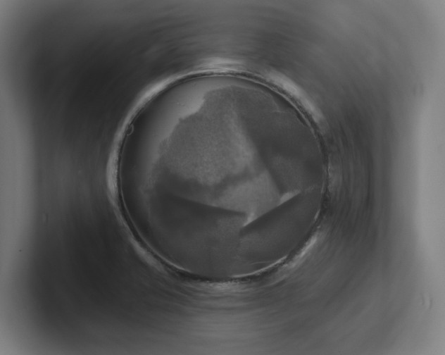 X0000102411421200808011558