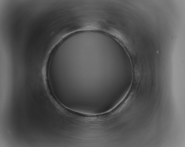 X0000102411422200808011558