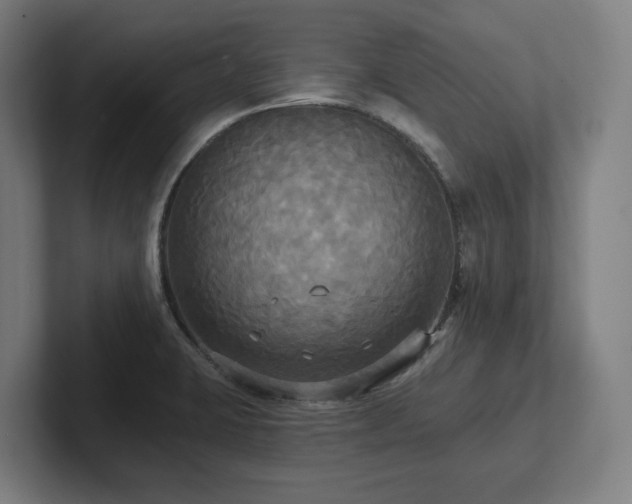 X0000102411423200808011558