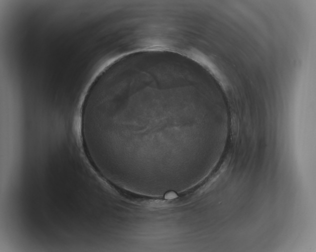 X0000102411424200808011558