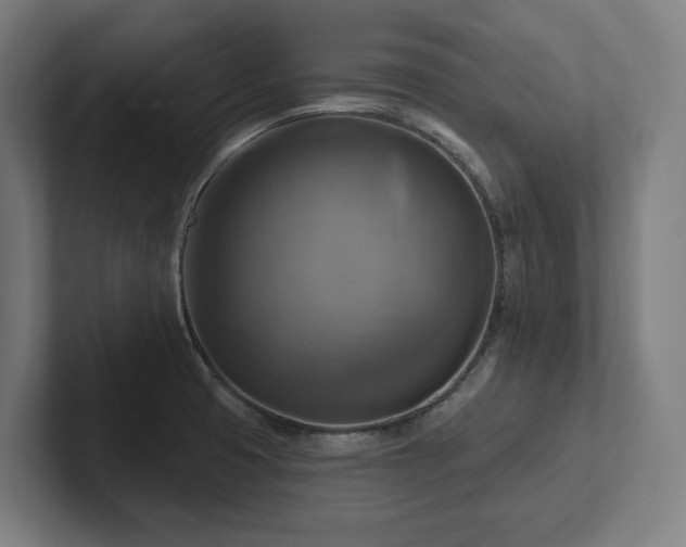 X0000102411425200808011558