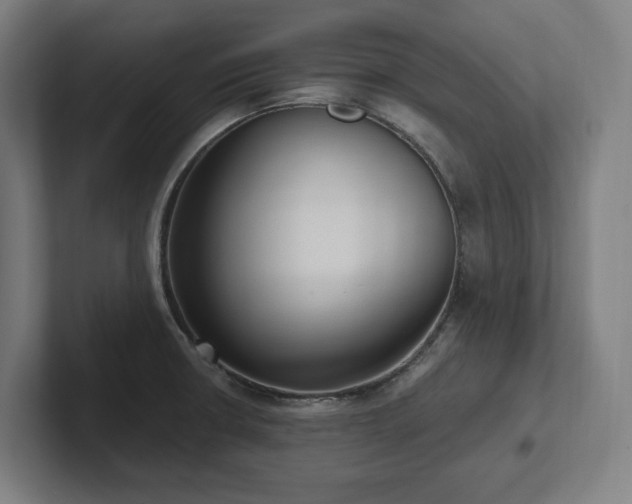 X0000102411426200808011558