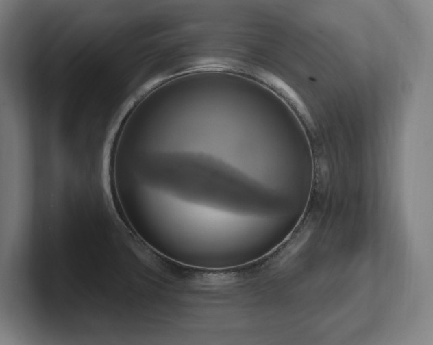 X0000102411427200808011558