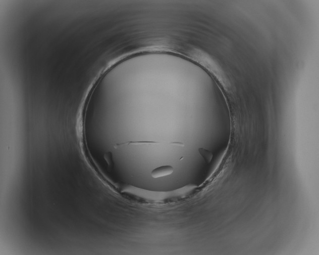 X0000102411428200808011558