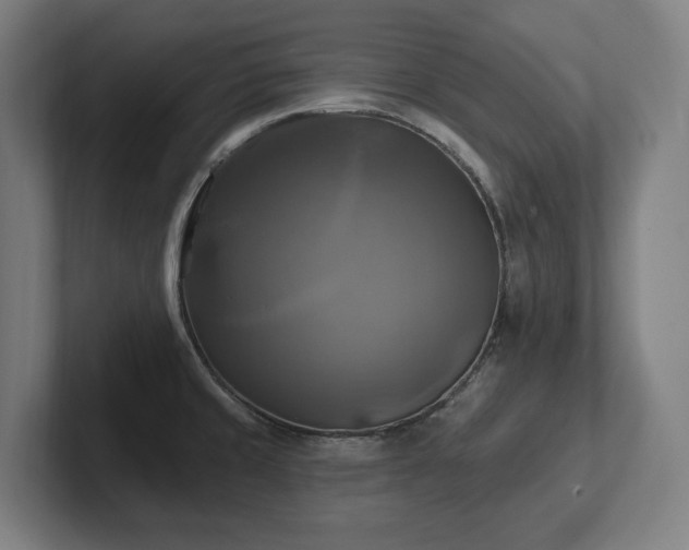 X0000102411429200808011558
