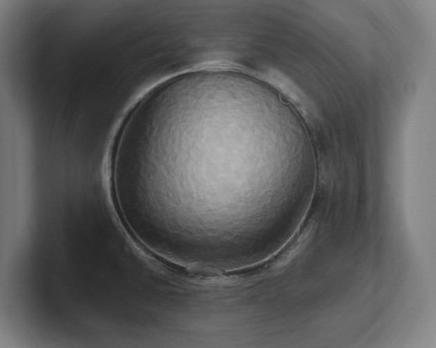 X0000102411430200808011558