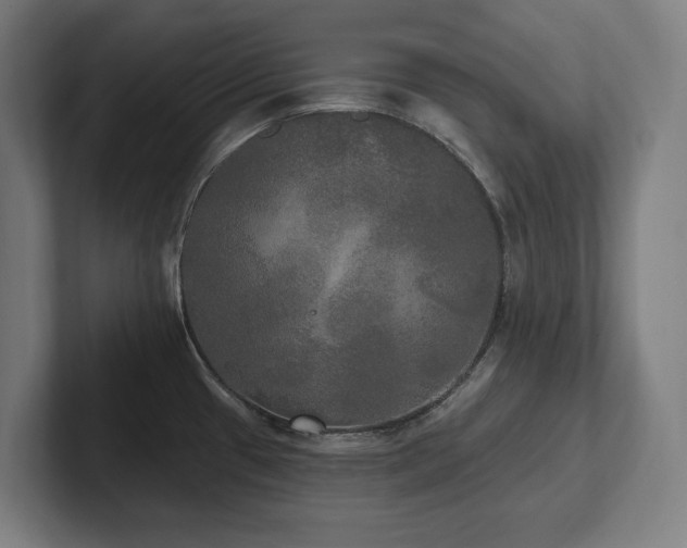 X0000102411433200808011558