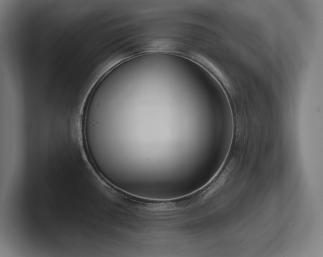 X0000102411434200808011558