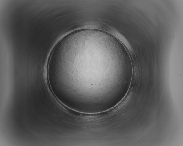X0000102411436200808011558