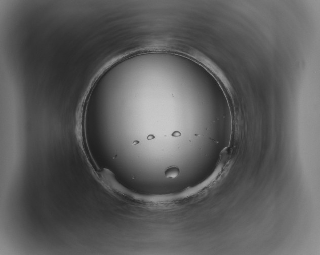X0000102411437200808011558