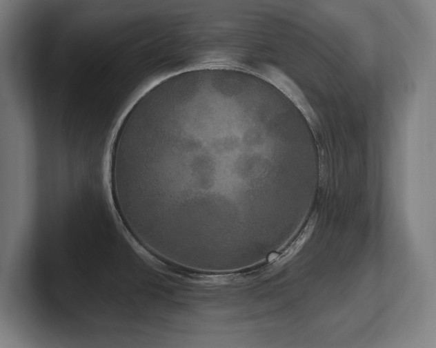 X0000102411438200808011558