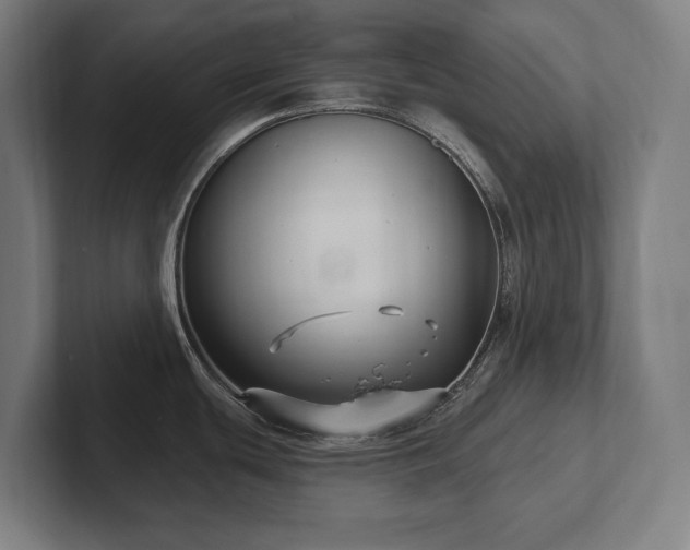 X0000102411439200808011558